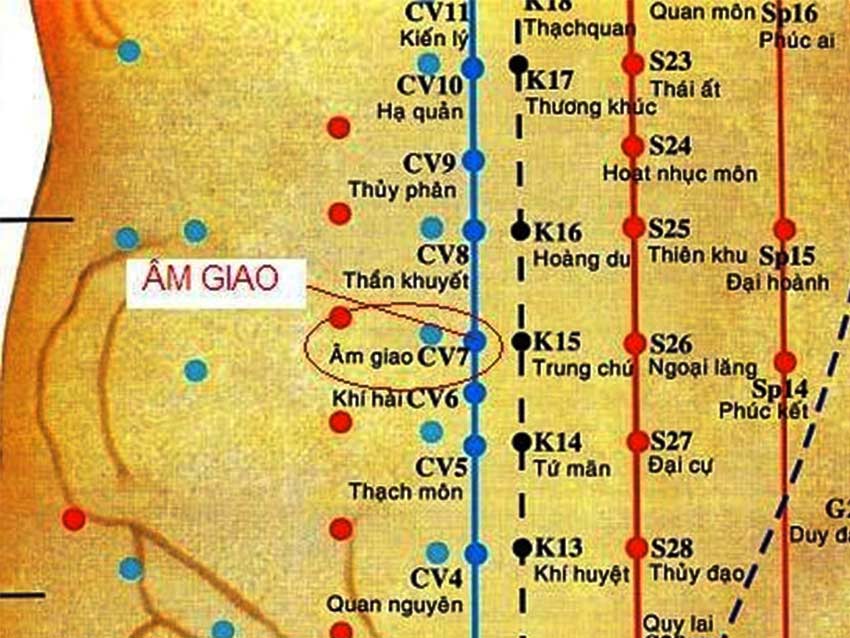 Huyệt Âm Giao: Vị trí, công dụng và cách châm cứu, bấm huyệt