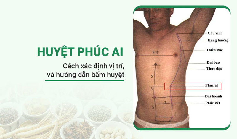 Huyệt Phúc Ai: Vị trí, tác dụng và cách khai thông