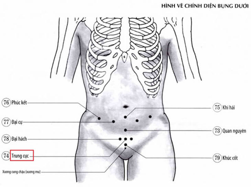 Huyệt Phúc Kết: Vị trí, công dụng và cách châm cứu bấm huyệt